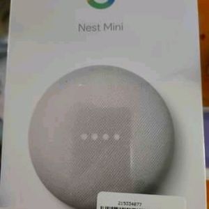 Google 2nd Generation Nest  mini